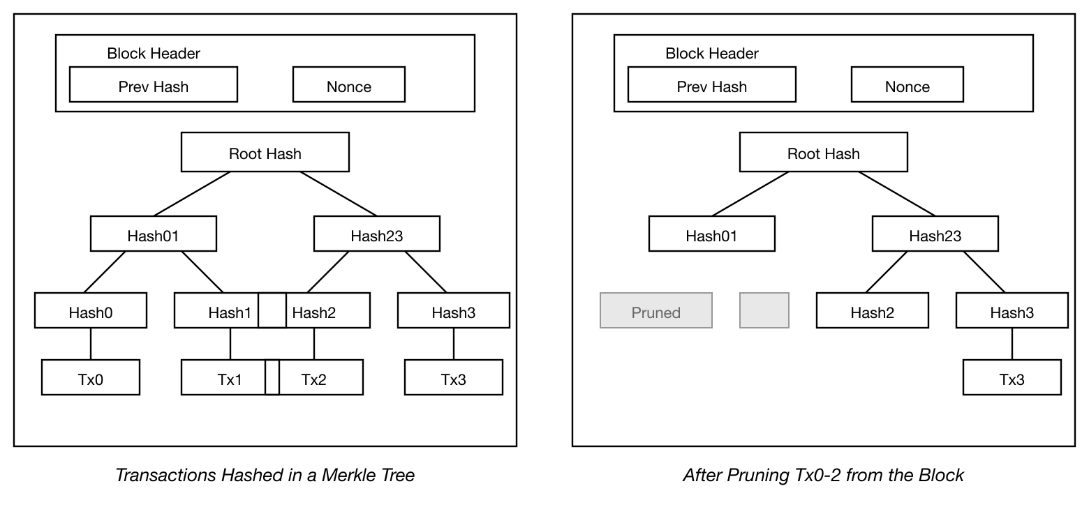 Bitcoin Merkle Tree diagram showing transaction hashing and block pruning by stubbing off branches