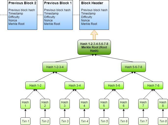 Block header and Merkle tree with TRX transactions